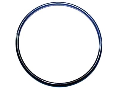 Nissan Frontier Thermostat Gasket - 21049-JK20A