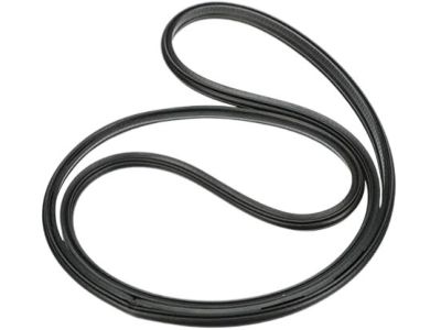 Nissan Altima Weather Strip - 84830-9HS0A