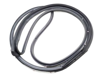 Nissan Juke Door Seal - 80831-1KA0A