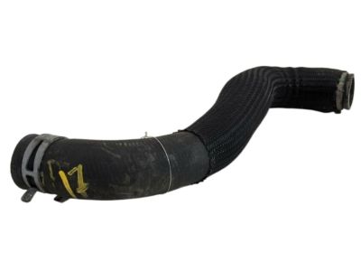 Nissan 21503-5AA0A Hose-Radiator,Lower