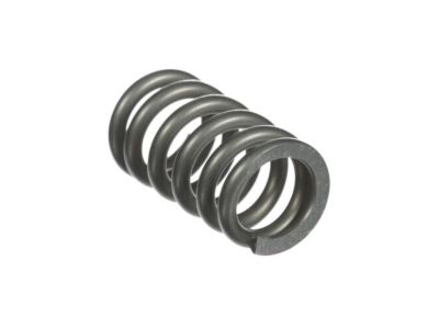 Nissan 20074-8H30A Spring-Special