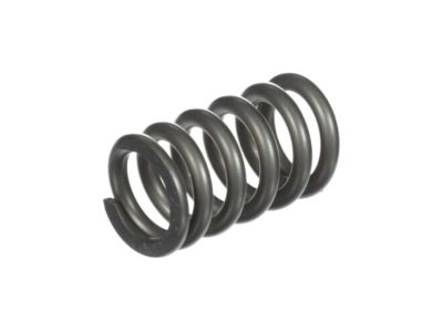 Nissan 20074-8H30A Spring-Special