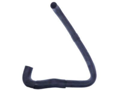 Nissan 21503-40P00 Hose-Radiator Lower