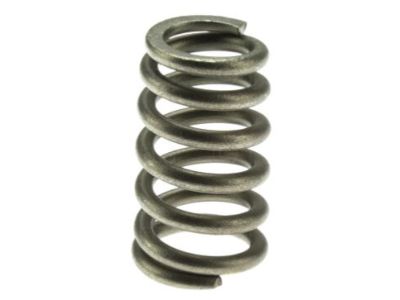 Nissan 20074-4M400 Spring-Special