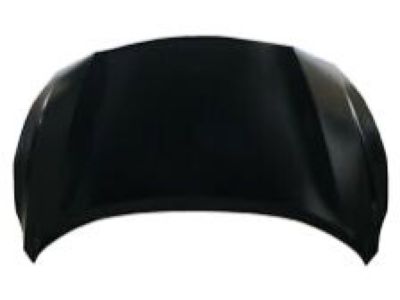 Nissan Maxima Hood - F5100-40UCM