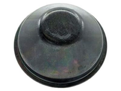 Nissan 43234-50A05 Cap-Hub Rear Wheel