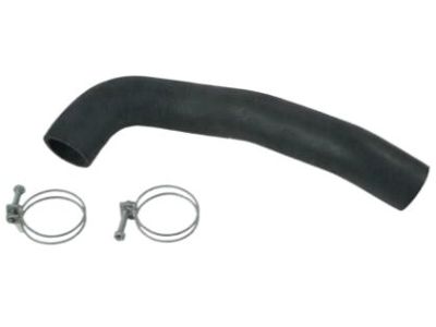 Nissan 21502-01P25 Hose-Radiator