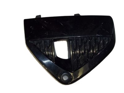 Nissan 62256-9UF1A FINISHER - Front Bumper