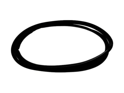 Nissan Rogue Door Seal - 90830-JM00A