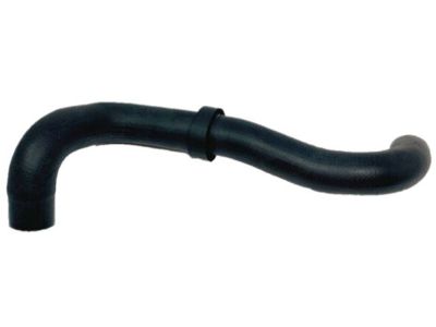 1990 Nissan Hardbody Pickup (D21) Radiator Hose - 21505-86G06