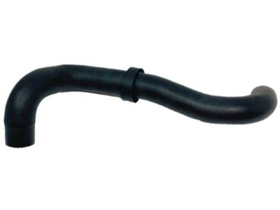 1994 Nissan Hardbody Pickup (D21) Radiator Hose - 21505-S3800