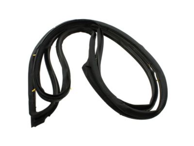 Nissan Altima Weather Strip - 80831-JA01A