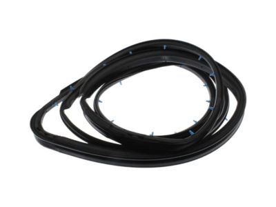 Nissan Xterra Weather Strip - 80831-8Z400