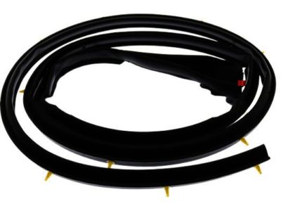 Nissan Titan Weather Strip - 80831-7S000