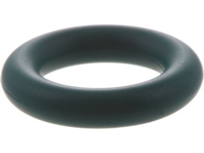 Nissan Frontier Fuel Injector O-Ring - 16618-EA000