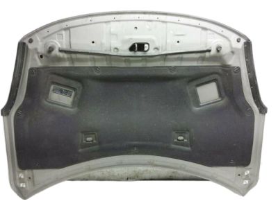 Nissan 65100-ZX00A Hood Assembly