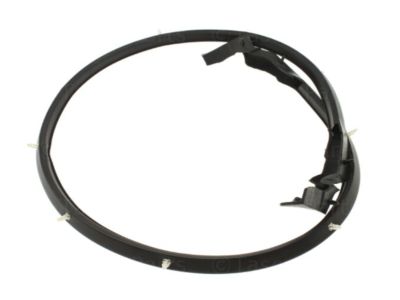 2000 Nissan Pathfinder Weather Strip - 66830-1W500