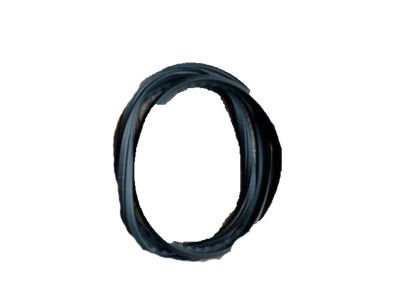 Nissan 84830-W1000 Weatherstrip