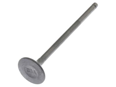 Nissan Sentra Exhaust Valve - 13202-BV81A