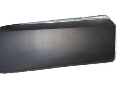 Nissan 80870-5AA0A Moulding-Front Door,RH