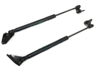 Nissan Leaf Lift Support - 90450-3NA0A