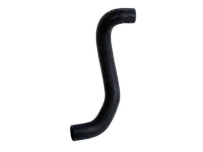 2002 Nissan Maxima Radiator Hose - 21503-5Y700