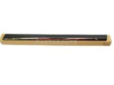 Nissan 80870-1JB1C MOULDING - Front Door, RH