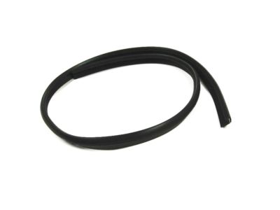 Nissan 76911-N3000 WEATHERSTRIP Side