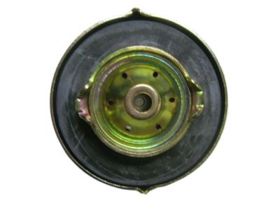 Nissan 17251-U7402 Filler Cap Assembly