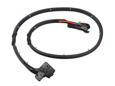 Nissan 80831-CE401 Weatherstrip-Front Door,LH