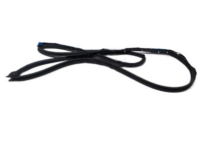 Nissan Altima Weather Strip - 80831-3TA0A