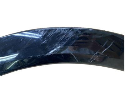 Nissan 63810-5ZW0A Front Fender Mudguard Set, Right