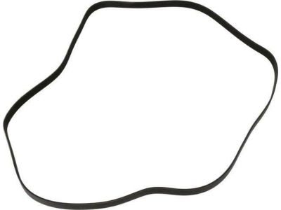 2018 Nissan NV Drive Belt - 11720-EA200