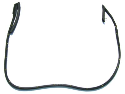 Nissan 80830-30P00 Weatherstrip-Front Door,RH