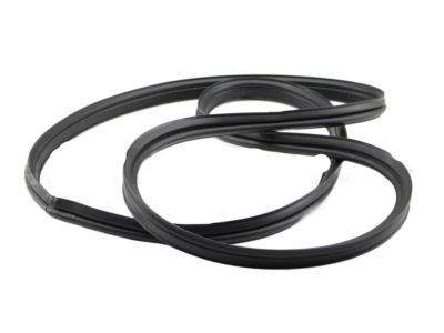 2019 Nissan Maxima Weather Strip - 84830-4RA1B