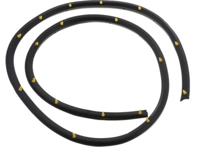 2006 Nissan Sentra Weather Strip - 80831-4Z300