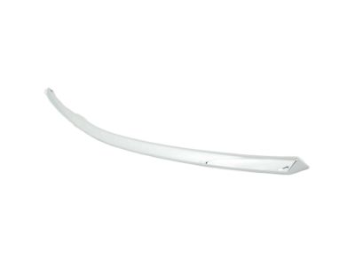 Nissan 62072-CC20A MOULDING Front Bumper