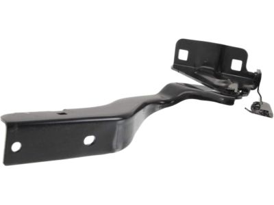 Nissan 65400-3SG0A Hinge Assembly-Hood,RH