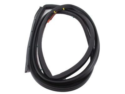 Nissan Sentra Weather Strip - 82830-4AF2A