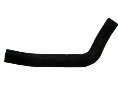 Nissan 21503-1PD0A Hose-Radiator,Lower