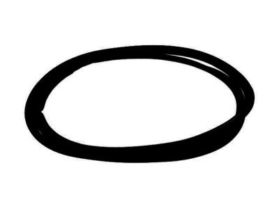 Nissan Rogue Door Seal - 90830-JM00B