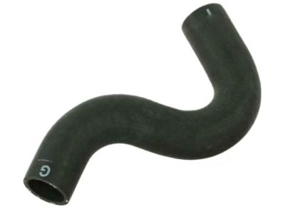 Nissan Stanza Radiator Hose - 21501-D9000