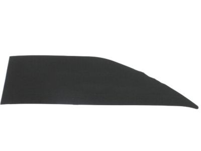 Nissan Titan Mirror Cover - 80292-EZ00A