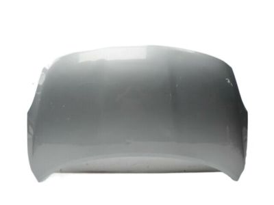 Nissan NV Hood - FEA00-3LNMA