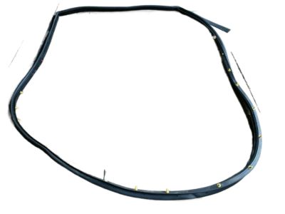 Nissan 82830-3TA0A Weatherstrip-Rear Door,RH