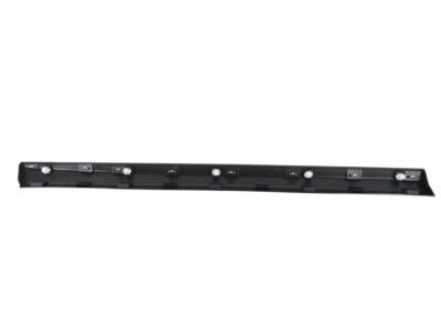 Nissan 80870-1AA2A MOULDING - Front Door, RH