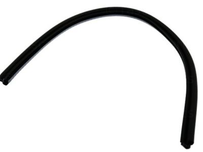 2007 Nissan Xterra Weather Strip - 82839-ZP60A