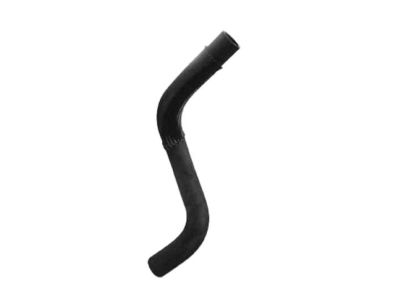 Nissan 21503-1KC0B Hose-Lower