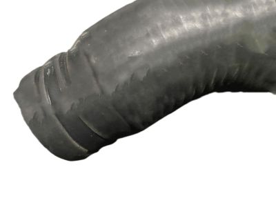 Nissan 21501-8J100 Hose-Radiator,Upper