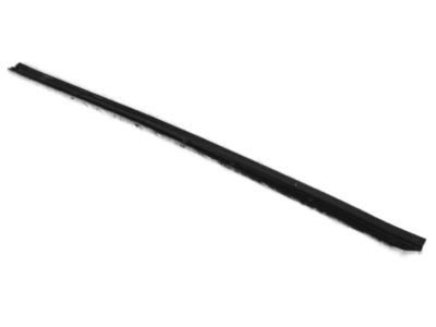 Nissan Armada Weather Strip - 80839-7S000